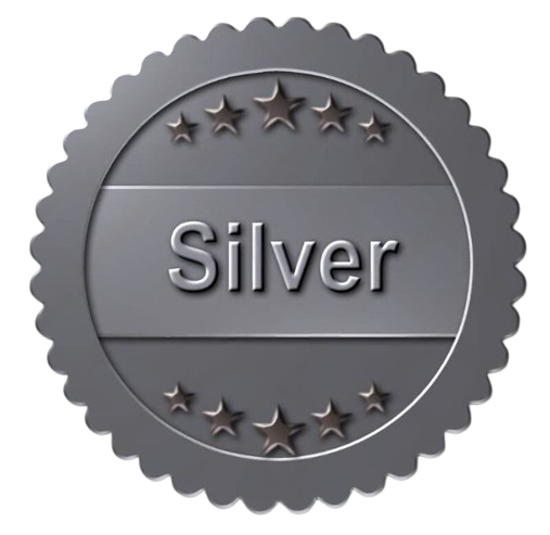 Silver Medal